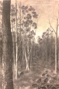 Charcoal artwork created by year 12 Steiner education student. Image depicts Australian native forest
