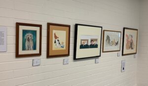 A long shot of several paintings displayed on the wall in the exhibition - each work is an original one from an Australian children's book